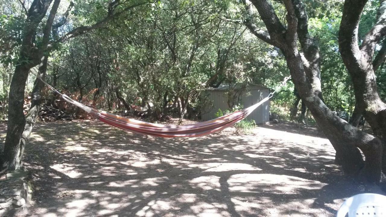 Villa La Casita Avec Piscine Pres D'uzes